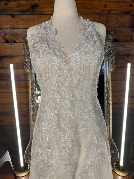 Sophia Tolli Kali - Sample Size 20