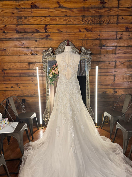 Sophia Tolli Kali - Sample Size 20